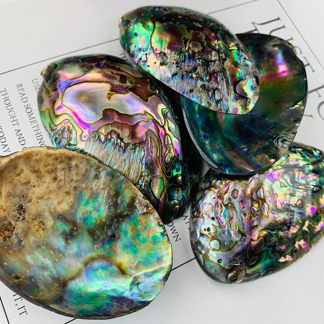 Anhänger Abalone Shell, Bunt, Unisex, 25-30mm - Bild 1