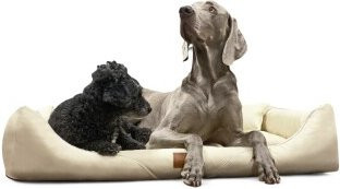 Tierlando Orthopädisches Hundebett WILLIAM Easy-Clean Luxus Hundesofa in Beige, B: 130 cm, H: 22 cm, T: 100 cm - Bild 1