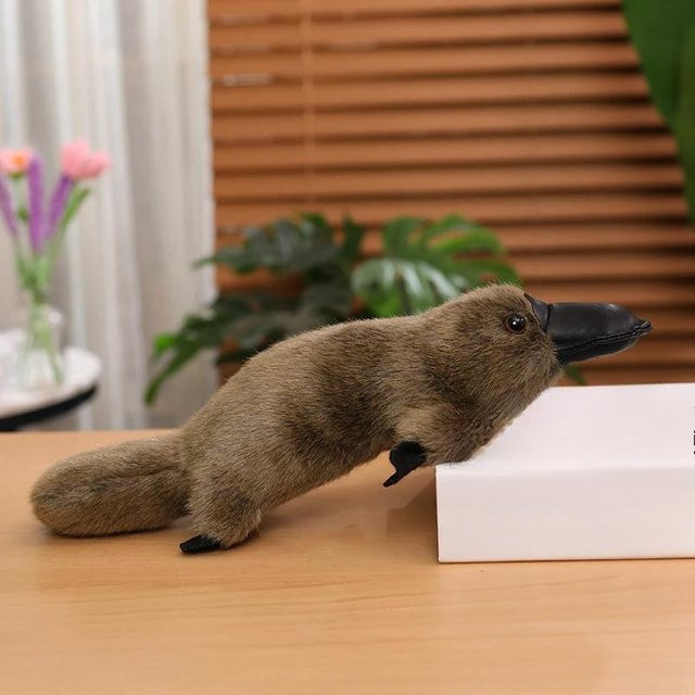 Kidsly Schnabeltier Plüschpuppe, braun, 30cm - Bild 1
