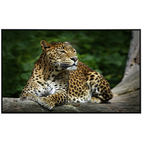 papermoon Infrarotheizung EcoHeat Leopard in Bunt mit Matt-Effekt, App-Steuerung und Überhitzungsschutz - Bild 2
