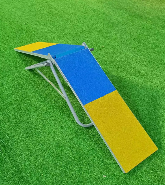 XMSJ 2-in-1 Hundewippe und Teeter-Rampe aus Metall als Trainingsausrüstung für Hunde - Bild 1