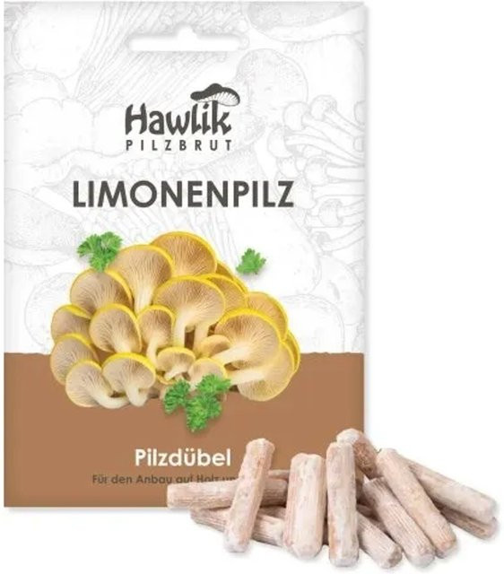 Hawlik Pilzbrut Myzel Dübelbrut Limonenpilze für die Pilzzucht auf Strohballen und Holzstämmen - Bild 1