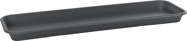 Florus Pflanzkasten-Untersetzer Universal Rechteckig in Anthrazit, Breite: 50 cm - Bild 1