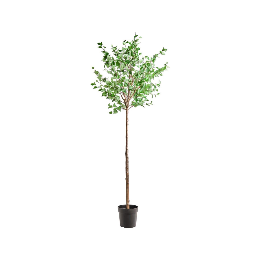 House Doctor Kunstbaum Hornbeam grün Durchmesser: 70 cm, Höhe: 235 cm - Bild 1