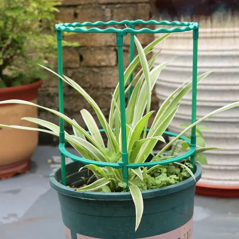 Wiederverwendbare Kletterhalterung für Blumen und Pflanzen als Pflanzenschutz für Indoor und Garten - Bild 3