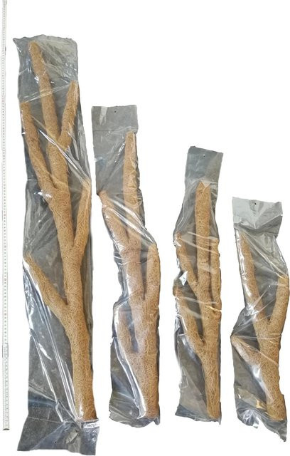 Proflora Pflanzenstab aus Metall mit Kokosfasern in Braun, Höhe: 40 cm - Bild 1