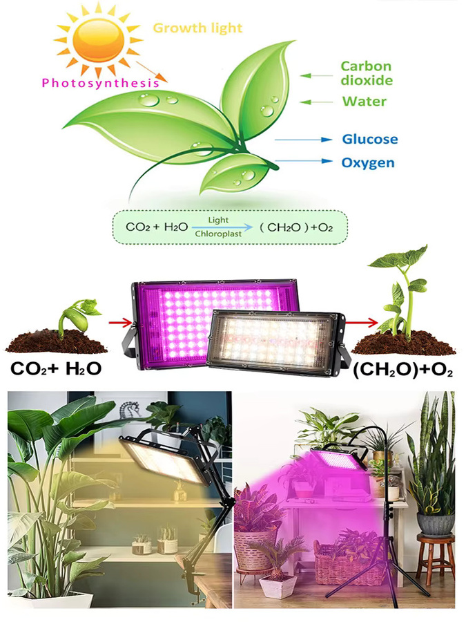 GRAXGROW Vollspektrum-LED-Pflanzenlicht mit Bodenhalterung in Schwarz für hydroponische Gewächshäuser und Sämlingsbeleuchtung - Bild 6