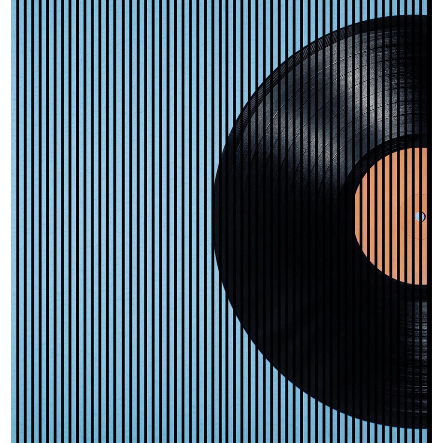 FN Acustico Akustikplatte aus PET und MDF in Bunt, B/H/T: 2.253 x 2.400 x 19 mm - Bild 1