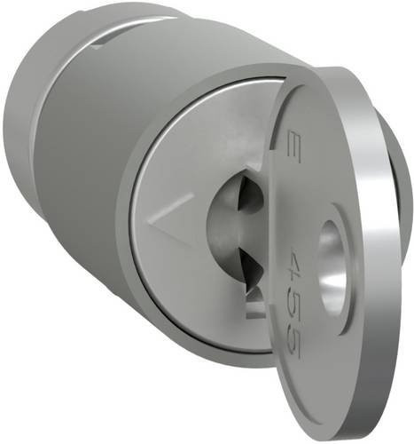 Schneider Electric PrismaSeT-P Zylinderschloss in Silber mit 2 Schlüsseln Nr. 3113A - Bild 1
