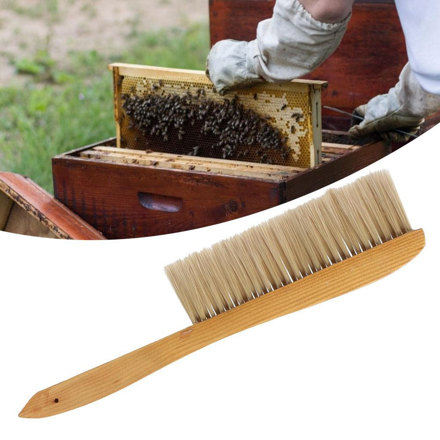 Doppelreihige Bienenstock-Reinigungsbürste mit langem Griff - Bild 2
