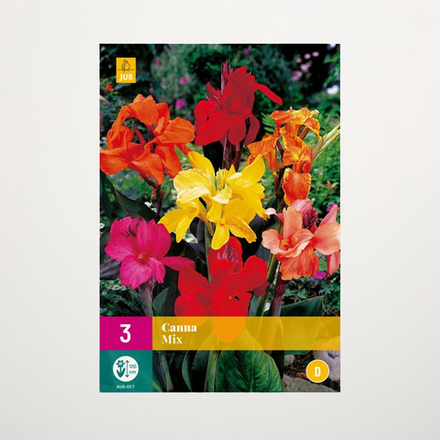 Canna Mix Knollen für Blumenbeet, Kübel, Balkon und Terrasse, 3 Stück - Bild 1