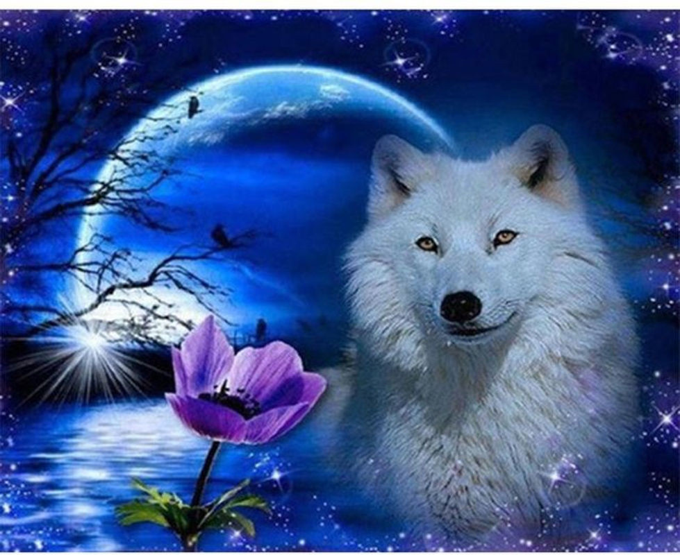 FIYO Diamond Painting Wolf 5D Mosaik-Kunstset mit Tierprint in Mehrfarbig, B/H: 30 x 20 cm - Bild 1