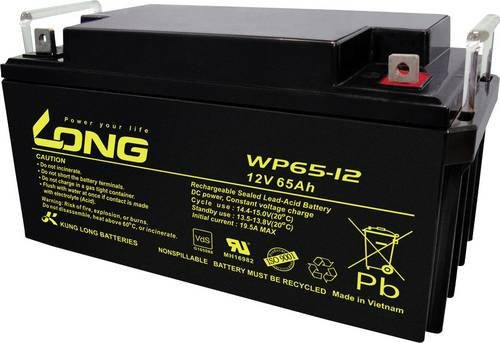 Long WP65-12 Bleiakku 12V 65Ah Blei-Vlies AGM Schwarz B/H/T: 350 x 174 x 166 mm M6-Schraubanschluss - Bild 1