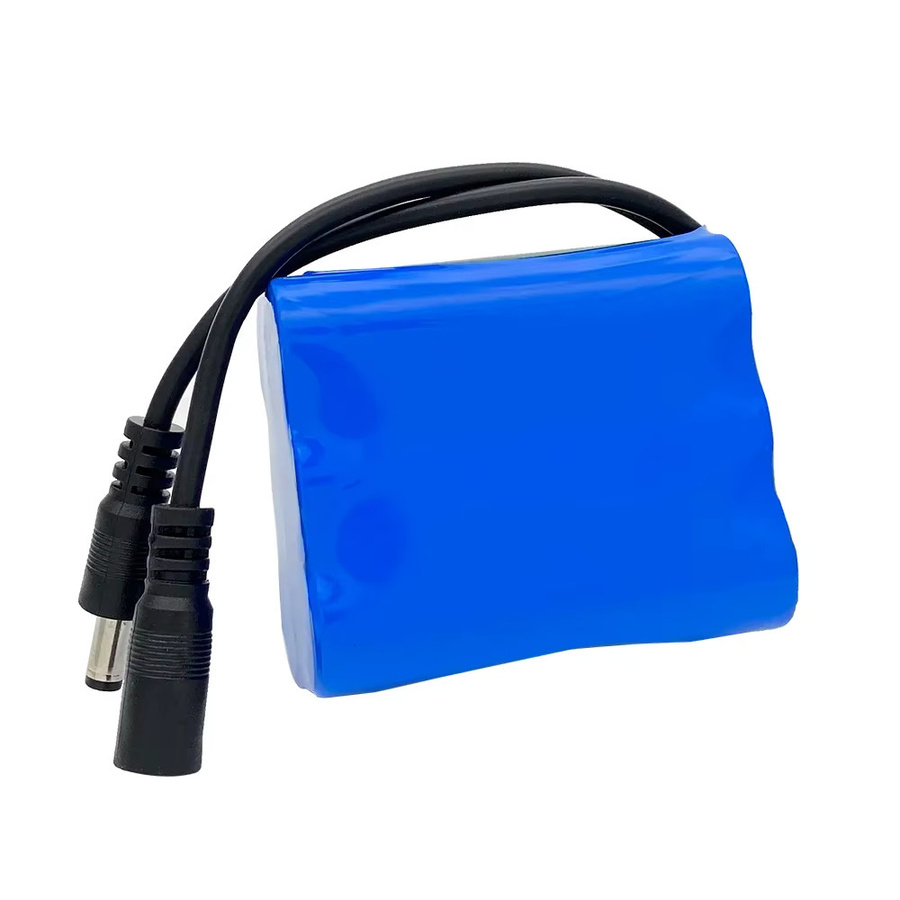 YTBNA 12 V Li-Ionen-Akkupack mit BMS und Ladegerät, 18650 Zellen, 4000 mAh, Blau - Bild 3