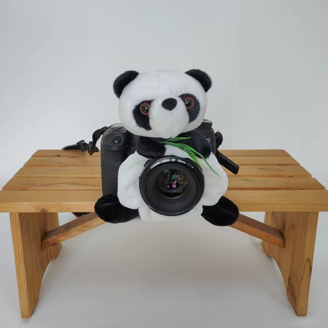 Panda Kamera-Zubehör für Neugeborenen-Fotografie in Weiß - Bild 1