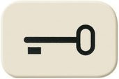 Busch-Jaeger Tastersymbol Schlüssel 2525 TR in Weiß und Beige - Bild 1