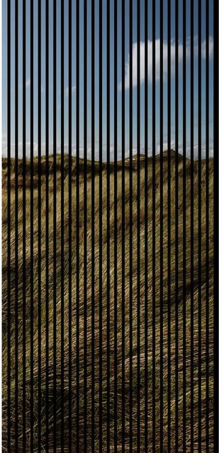 FN Acustico Akustikplatte Gras Bunt aus PET und MDF mit modernem Design, H x B x T: 2.400 x 1.133 x 19 mm - Bild 1