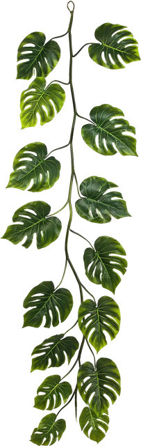 Künstliche Monstera Girlande Collin von Aplanta, Länge: 230 cm - Bild 1