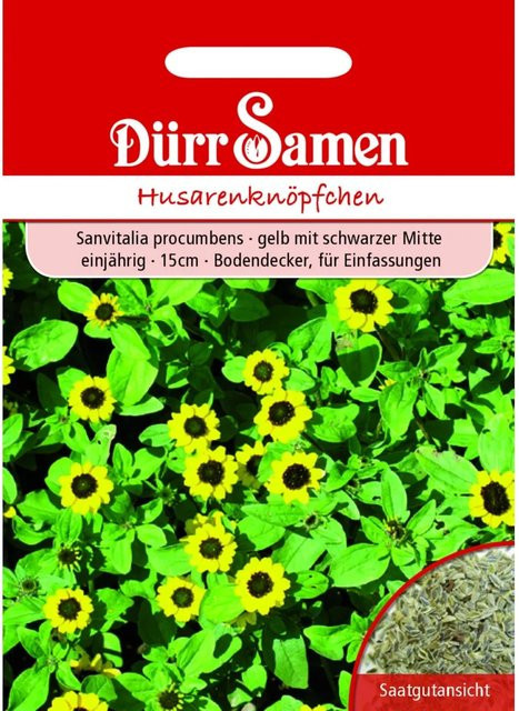 Dürr Samen Husarenknöpfchen Gelb mit Schwarzer Mitte Einjähriges Saatgut 400 mg - Bild 1