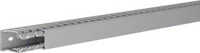 Hager Verdrahtungskanal Stein-Grau B/H/T: 25 x 40 x 2000 mm - Bild 2
