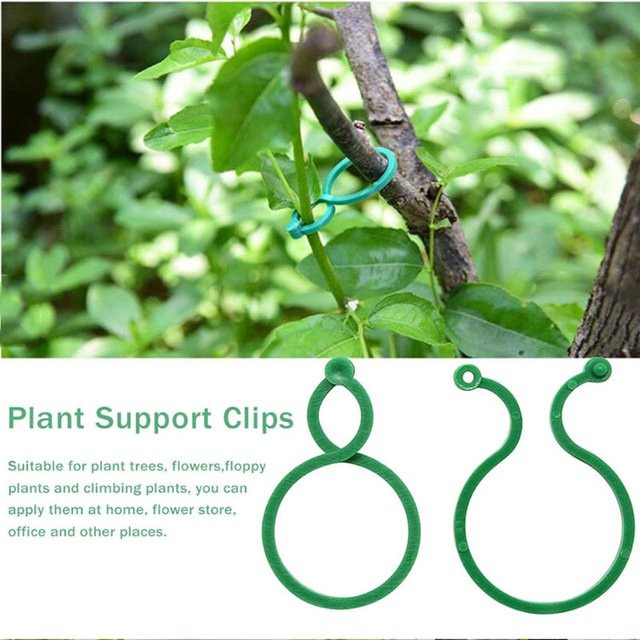 Grüne Kunststoff Reben Umreifung Clips zur Unterstützung wachsender Pflanzen als Halter für die Gartenarbeit - Bild 1