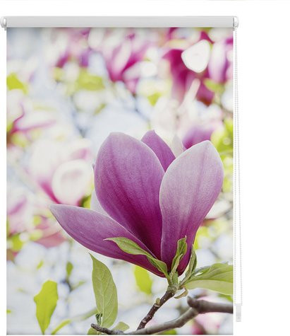 Lichtblick Rollo Klemmfix mit floralem Muster in Rosa und Rot, B: 100 cm, H: 150 cm - Bild 1