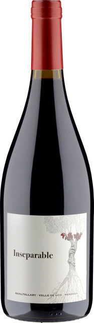 PerSe Wines Inseparable 2022 Rotwein Malbec Argentinien 0,75 l - Bild 1