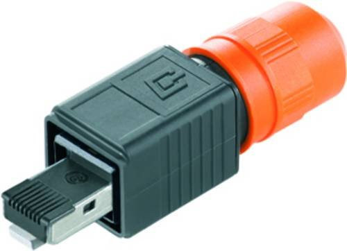 Weidmüller 1963160000 Sensor-Aktor-Datensteckverbinder Stecker gerade orange aus Kunststoff, 10 Stück - Bild 1