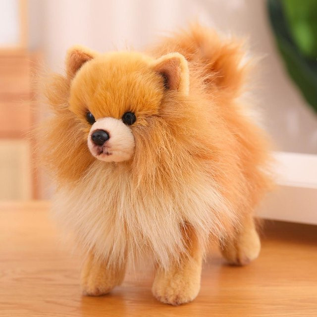 Binchi Fitness Zwergspitz Hund, Plüsch / Textil, braun, ab 0 Jahre - Bild 1