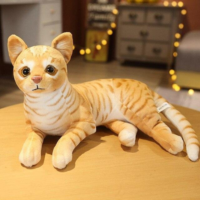 Binchi Keji Travel American Shorthai & Siamkatze Plüsch, Tier, ab 12 Jahren - Bild 1