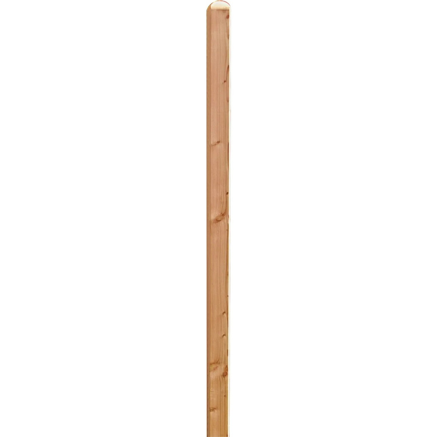 T & J Pfosten Douglasie mit gerundetem Kopf, Höhe: 100 cm - Bild 2