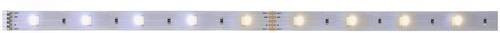 Paulmann MaxLED 250 Stripe LED-Streifen Silber, Länge: 1 m, Tunable White 2700-6500K, IP20 - Bild 1