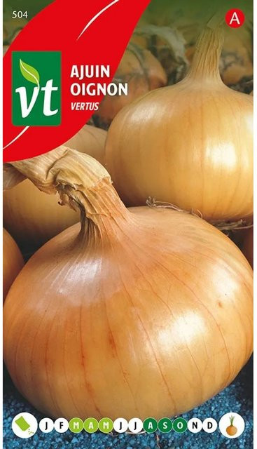 Arborix Zwiebel Vertus Saatgut Würzig 4 g - Bild 1