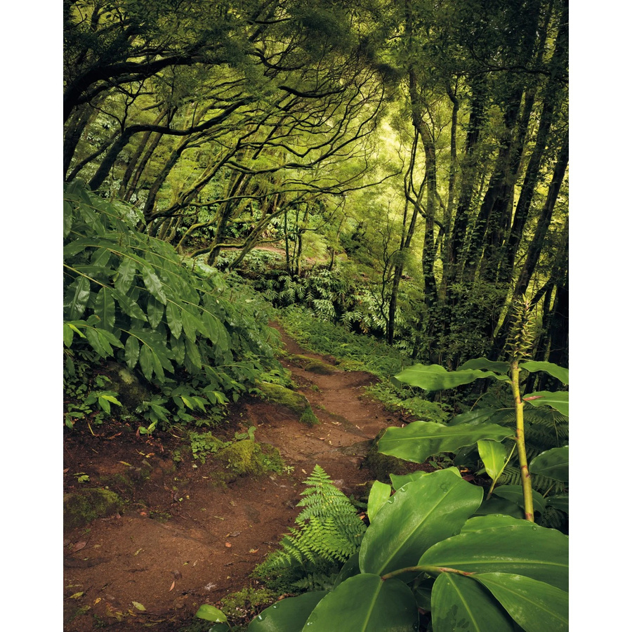 Komar Fototapete Vlies The Path B: 200 cm, H: 250 cm - Bild 2