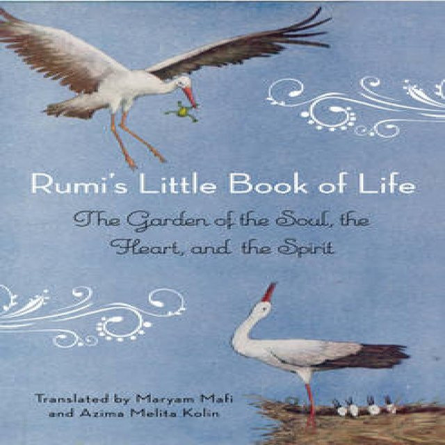 Kleines Buch des Lebens von Rumi, Taschenbuch - Bild 1