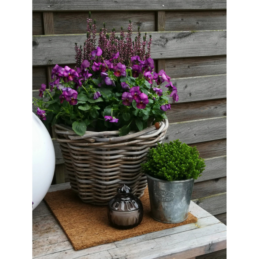 Proflora Kokosfaser Mulchmatte in Braun als Topfuntersetzer und Baumschutz, B/B: 30 x 30 cm - Bild 2