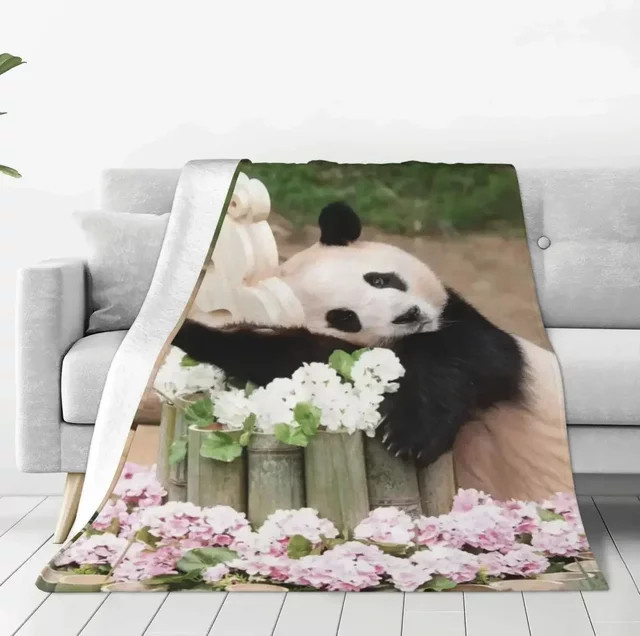 Fubao Panda Kuscheldecke aus Plüsch und Sherpa in Multicolour, B/T: 125 x 125 cm - Bild 1
