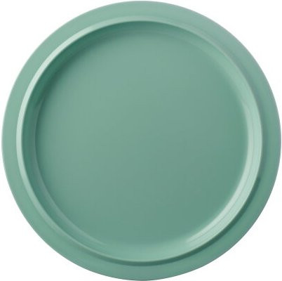 Mepal Essteller Basic P250 Dinner Plate aus Melamin in Green, Durchmesser: 25,0 cm - Bild 1