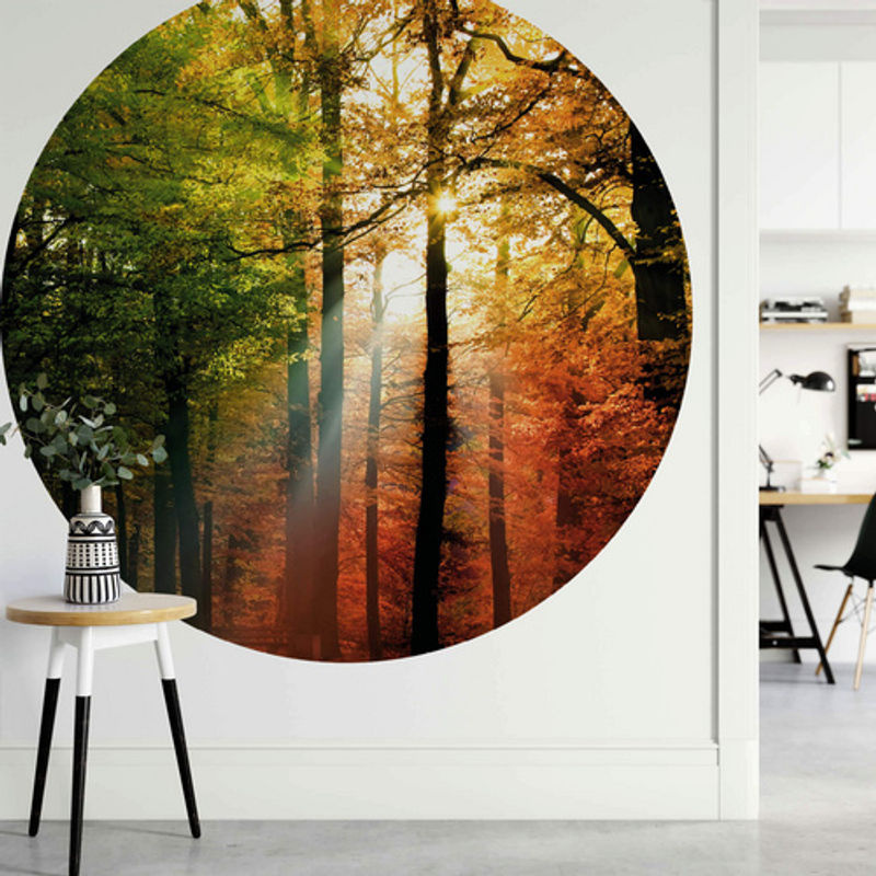 K&L Wall Art Vliestapete Runde Vliestapete Goldener Herbst Natur Wald, mehrfarbig, matt - Bild 2