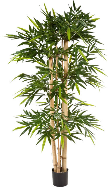 Aplanta Künstlicher Bambus Martha, Höhe: 240 cm - Bild 1