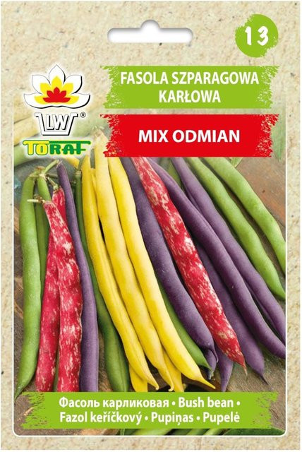Dage Asperges Bonenzaadjes Mix Varietäten mit gelben, grünen und purpurnen Hülsen, 40 g - Bild 1