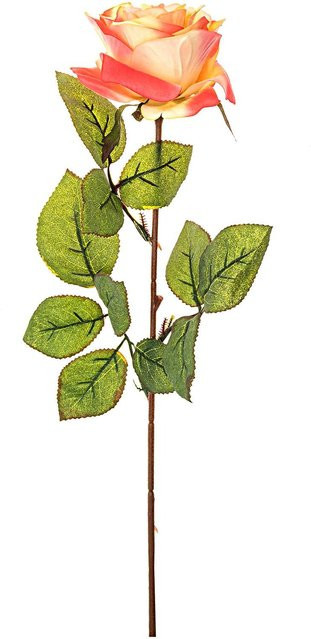 idee. Creativmarkt Edelrose künstliche Blume in Apricot, Höhe: 66 cm - Bild 1