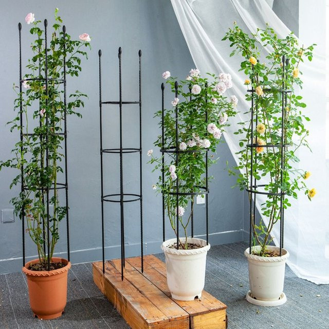 Stapelbares Gartenspalier in Schwarz als stufenlos gespleißbares Klettergitter für Rosen, Blumen und Gemüse im Innen- und Außenbereich - Bild 1