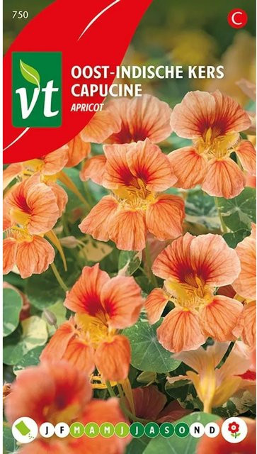 Arborix Kapuzinerkresse Apricot Saatgut für Garten und Balkon mit apricotfarbenen Blüten, 3,5 g - Bild 1