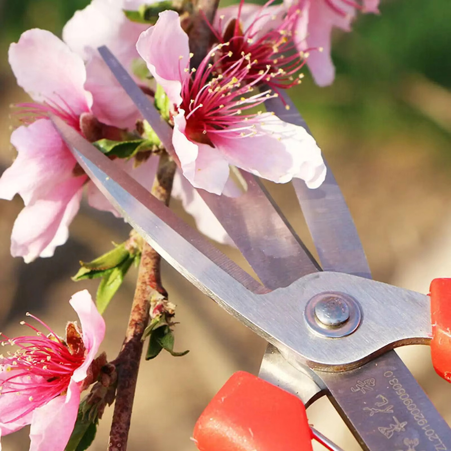 NEWBEAT Ausdünnungsschere für Obst und Blumen aus Kohlenstoffstahl in Rot, 65 mm - Bild 3