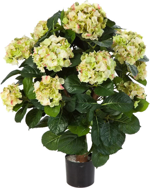 Künstliche Hortensie Noah von artplants in Grün, Höhe: 62 cm - Bild 1