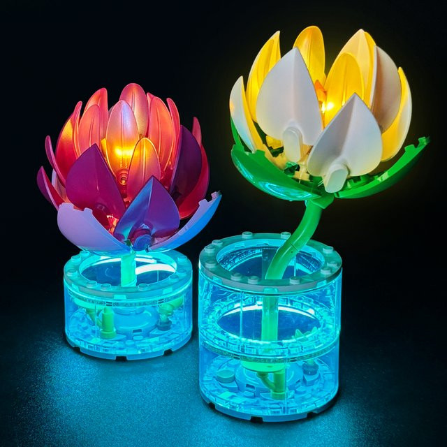 LYBMTWF LED-Beleuchtungsset für Wasserlilien-Bausteine - Bild 1