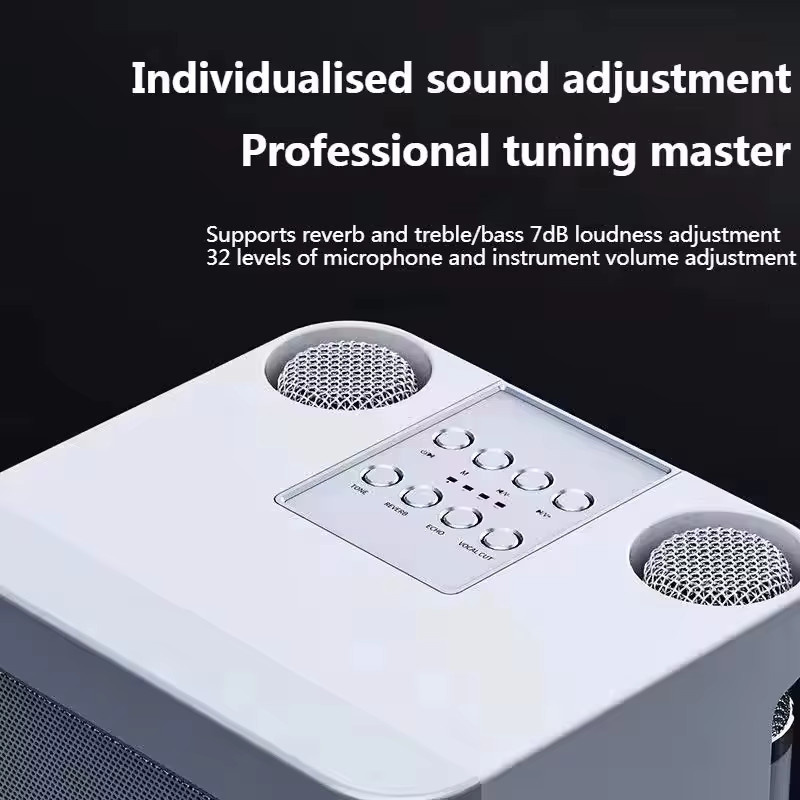 AyeBeau Tragbarer Drahtloser Bluetooth Karaoke Lautsprecher mit Mikrofon in Schwarz oder Weiß - Bild 2