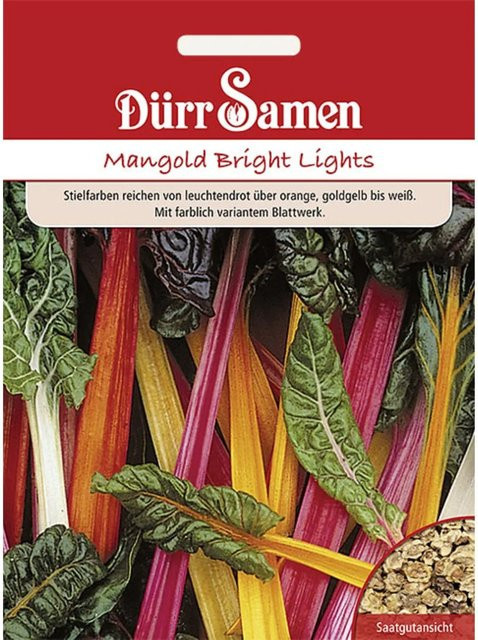 Dürr Mangold Bright Lights Gemüsesaat 10 g - Bild 1