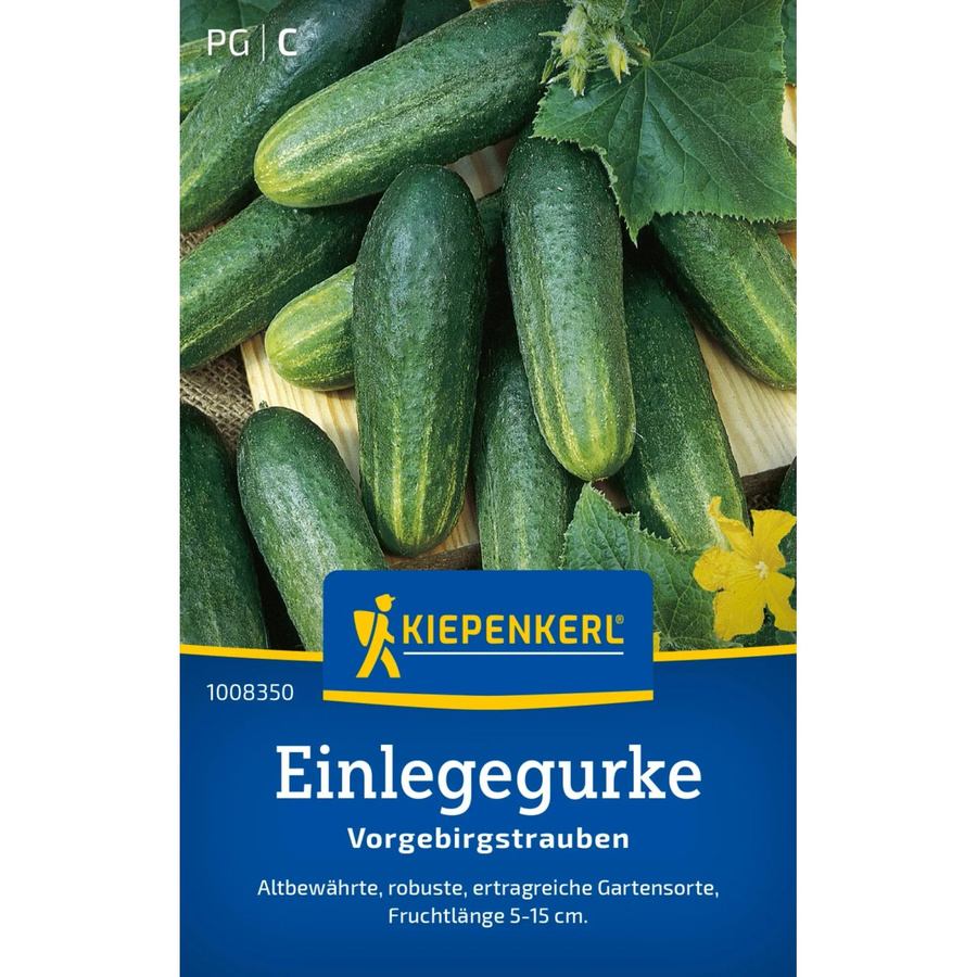 Kiepenkerl Einlegegurken Vorgebirgstrauben Gemüsesamen - Bild 2